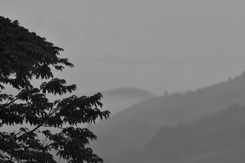2020-01 Colombia/Sopó/DSC_3050.JPG